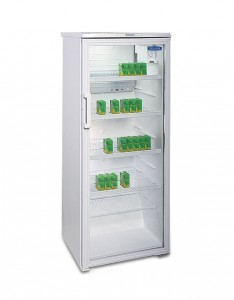 Холодильная витрина Бирюса 290 EK (R600a)